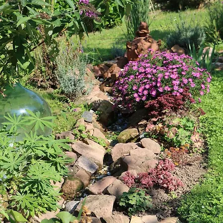 Apartament Odenwald - Anna Breuberg