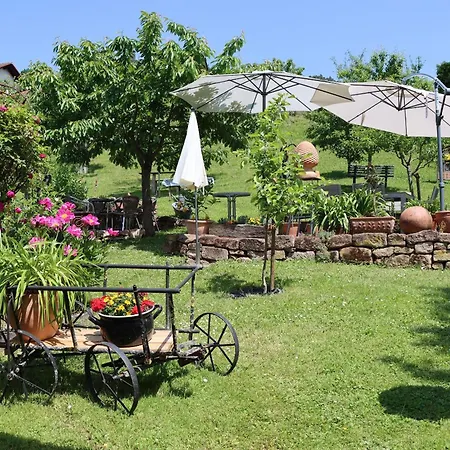 Apartment Odenwald - Anna *